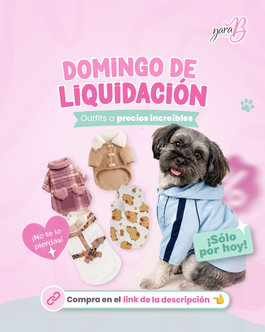 🏷️🐾 ¡Llegó el DOMINGO DE LIQUIDACIÓN en YaraB !🐾🏷️