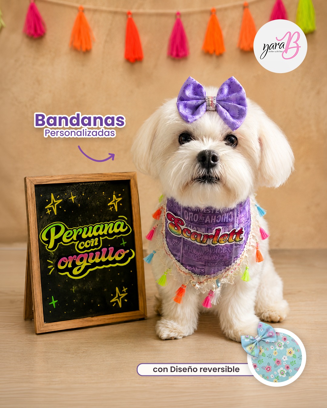 Scarlett luciendo con orgullo su Bandana personalizada 🇵🇪 🐾