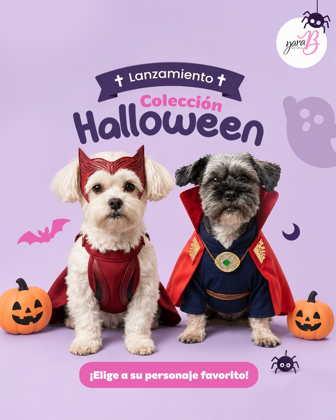 🎃 Nueva colección, nuevos personajes, nuevas aventuras 🎃
