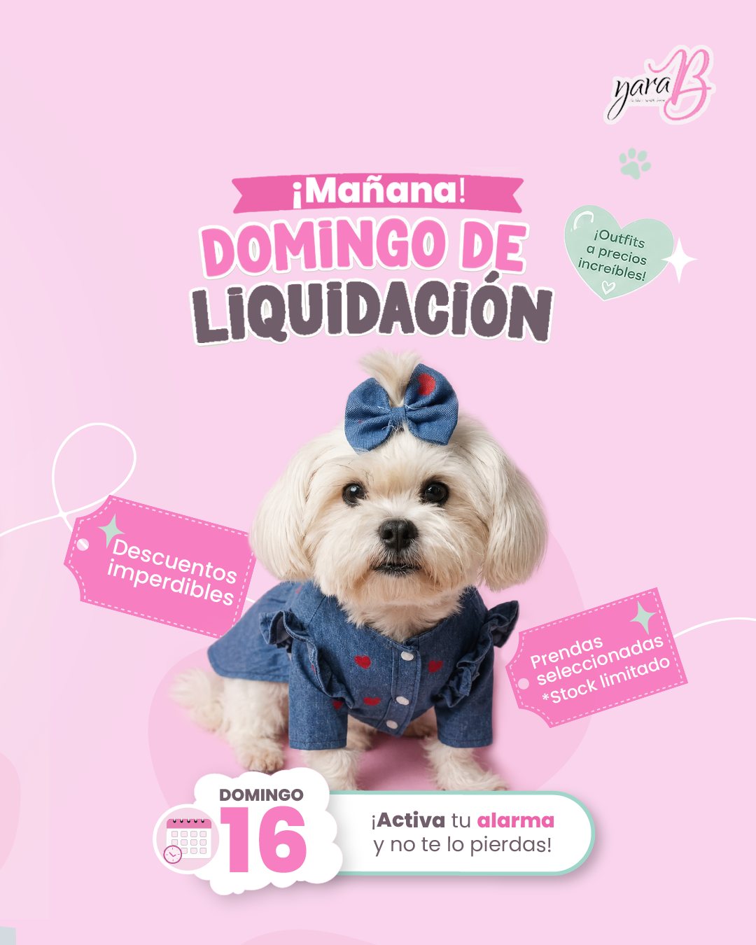 Tenemos algo super especial…algunas prendas se despiden de YaraB 🩷per