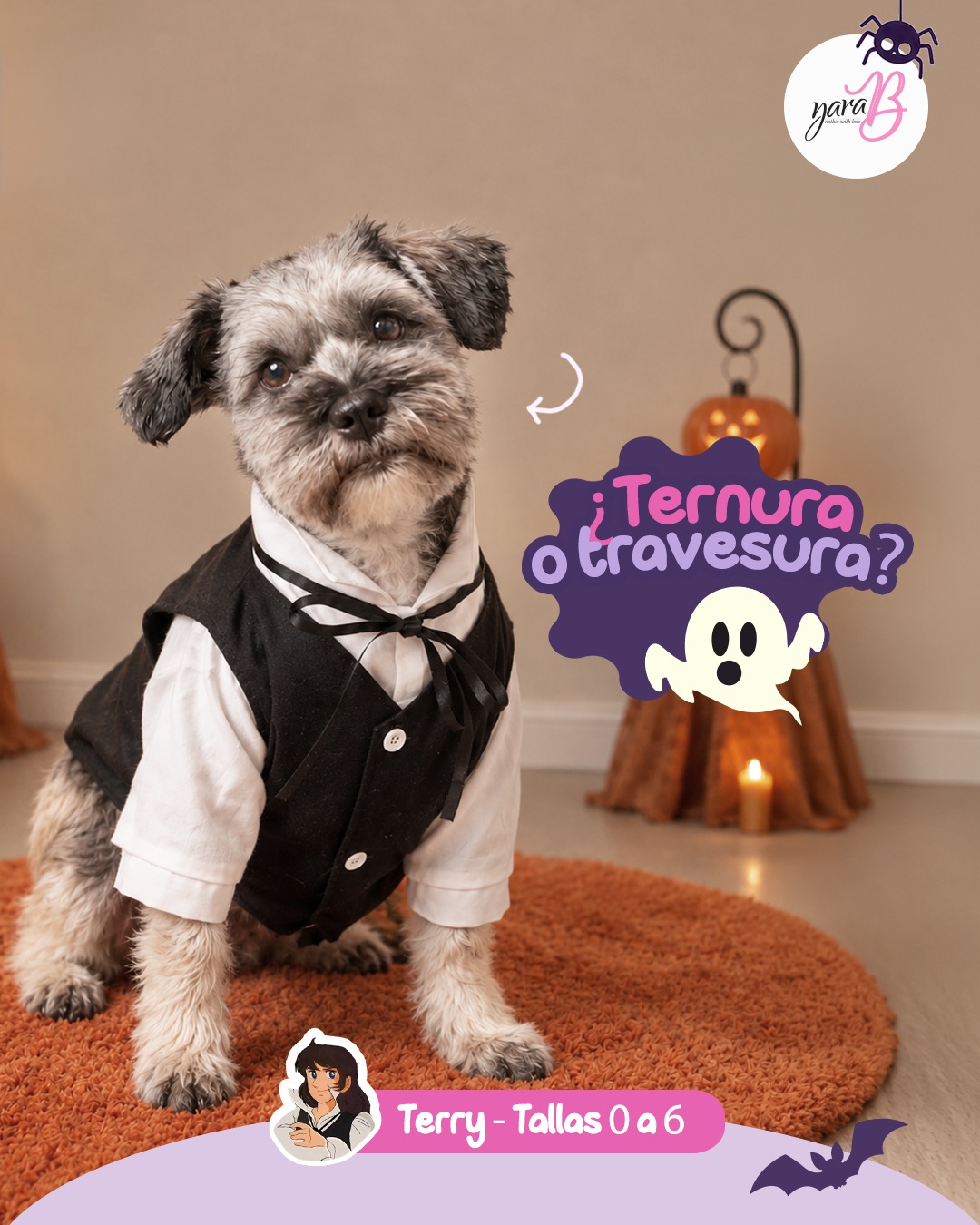 🎃¿Sigues buscando el disfraz ideal para tu bebé?