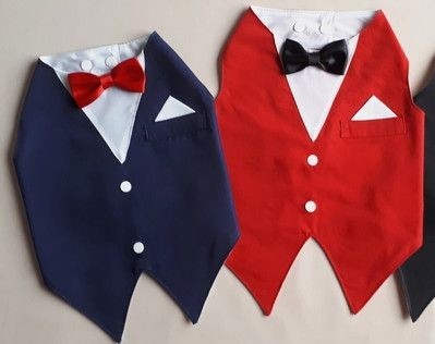 Categoria elegantes