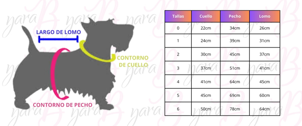 Guía de tallas - imagen 1