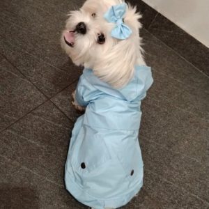 windproof