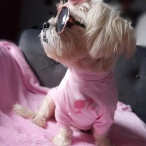 Conjunto Barbie polito en algodón