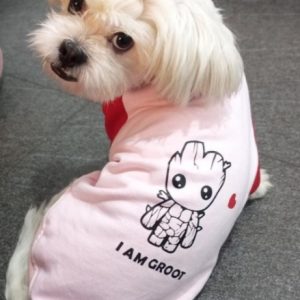 Polera antialergica afelpada I am groot