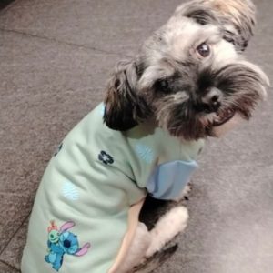 Polera antialergica afelpada Stitich