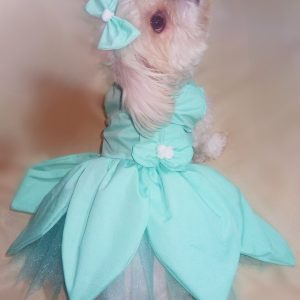 Vestido Tinkerbell