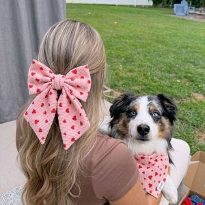 Match Coquette — Lazo + Bandana